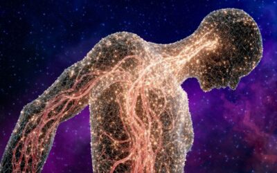 The Body — The Foundation of Conscious Living