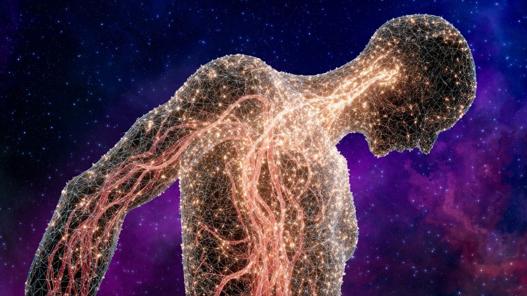 The Body – The Foundation of Conscious Living The Body — The Foundation of Conscious Living