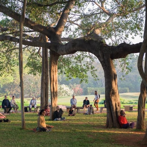 AV Banyan